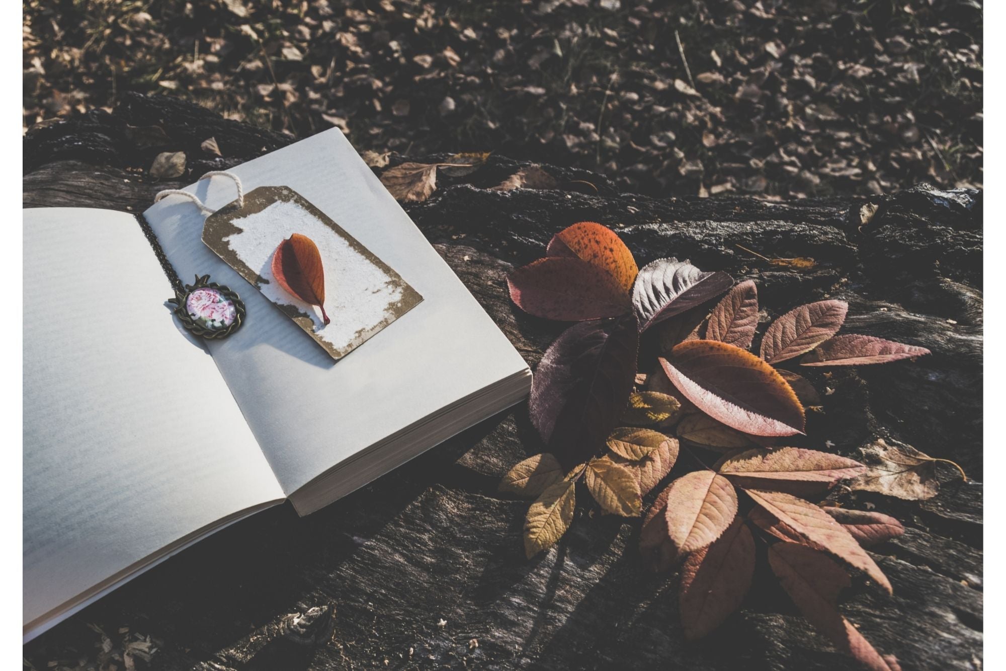 Make DIY Bookmarks As Gifts
