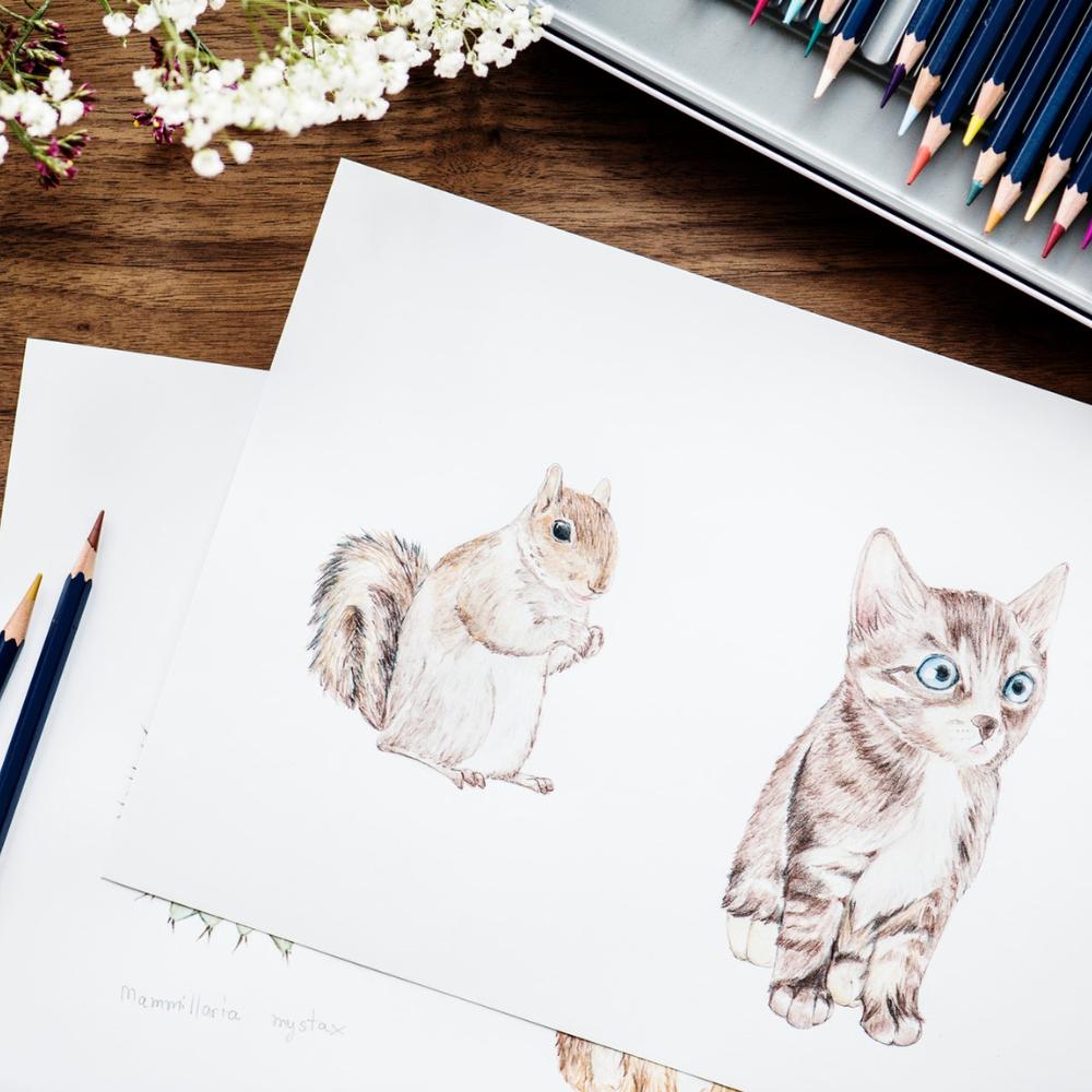 Smooth Cardstock paper crafts are paper