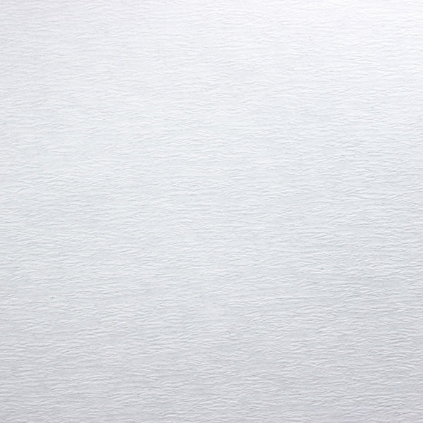 White Crepe Cardstock 80# Cover close-up of the crepe texture ThunderBolt Paper